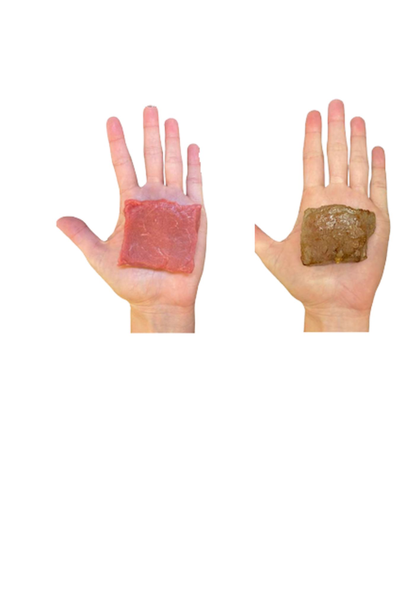 Carne cruda vs cocida